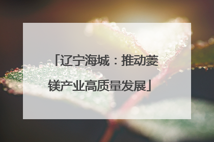 辽宁海城：推动菱镁产业高质量发展